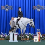 SKYS LADY IN BLUE - Out of Sky Blue Candy